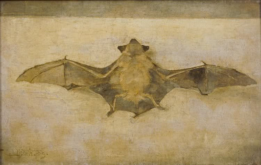 A Bat, vintage artwork by Jan Mankes, 12x8" (A4) Poster
