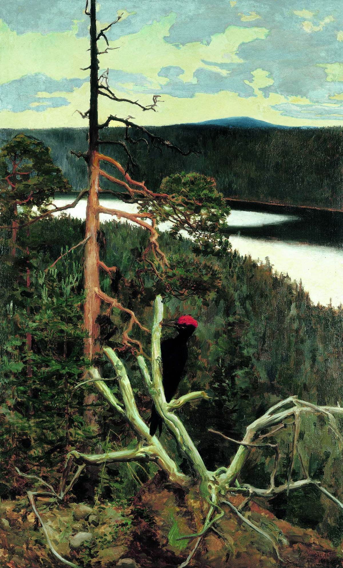 The Great Black Woodpecker by Akseli Gallen-Kallela,A3(16x12")Poster