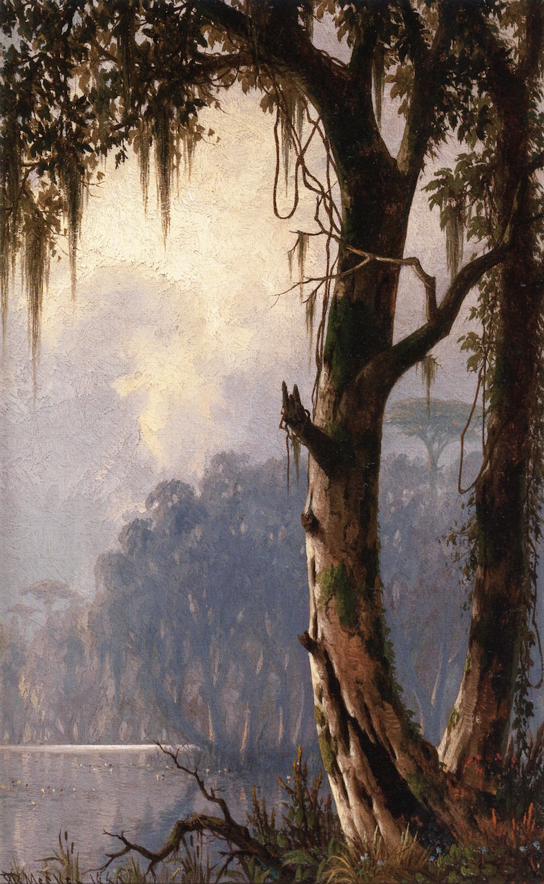 Louisiana Landscape, vintage artwork by Joseph Rusling Meeker, 12x8" (A4) Poster