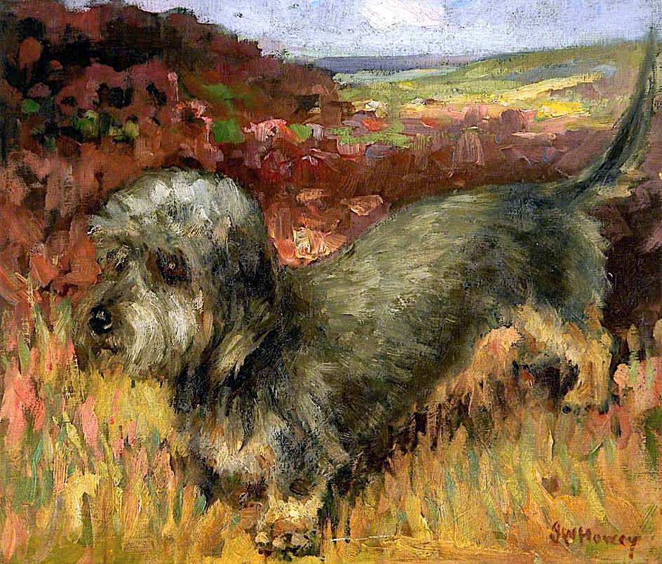 The Terrier Dog by John William Howey,16x12(A3) Poster