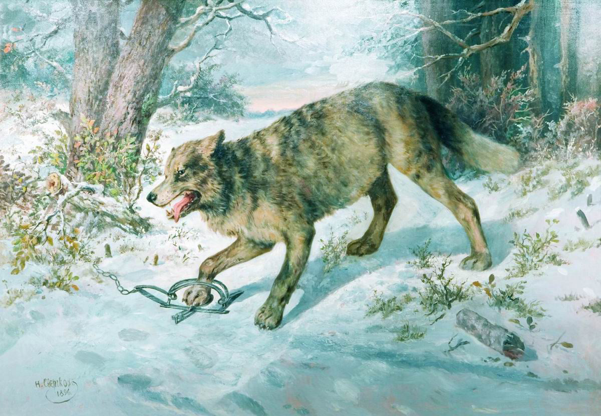 Trapped Wolf, vintage artwork by Nikolai Sverchkov, A3 (16x12") Poster Print