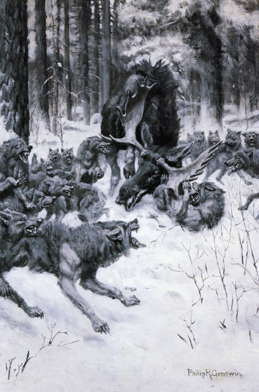 he Battle of the Strong and the Cunning by Philip R. Goodwin,16x12(A3) Poster