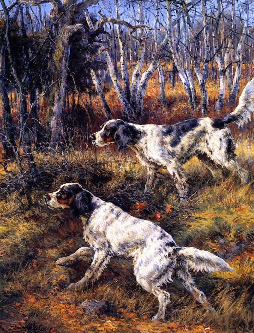 Two Setters by Edmond H. Osthaus,A3(16x12")Poster