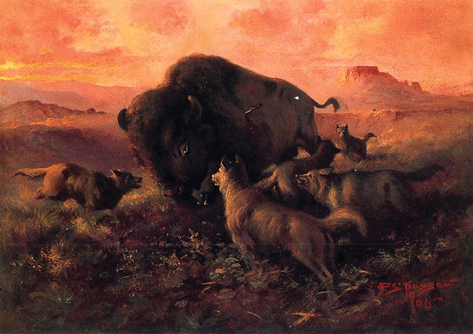 The Wounded Buffalo, vintage artwork by Frank Tenney Johnson, 12x8" (A4) Poster