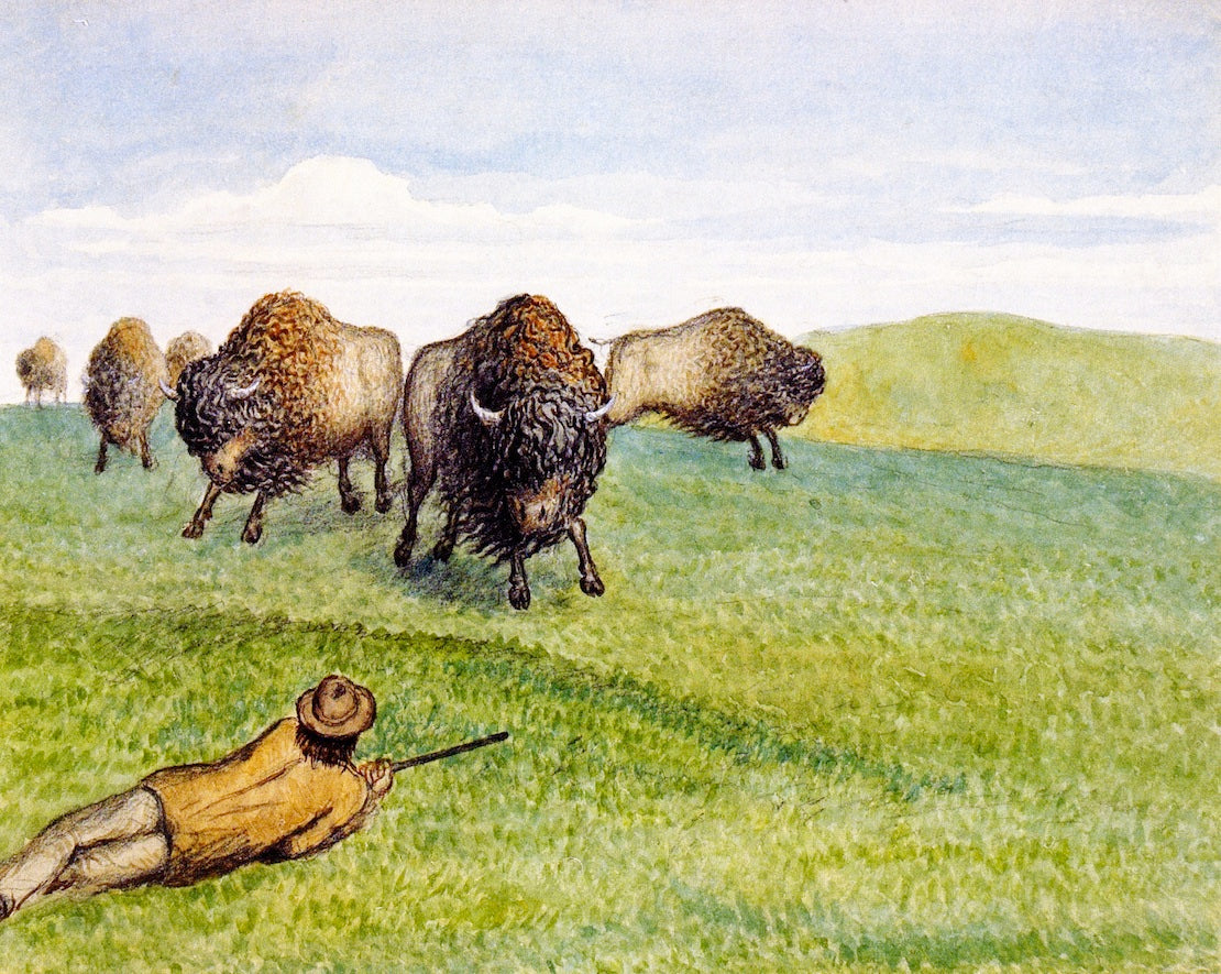 Hunting Buffalo, vintage artwork by William George Richardson Hind, 12x8" (A4) Poster
