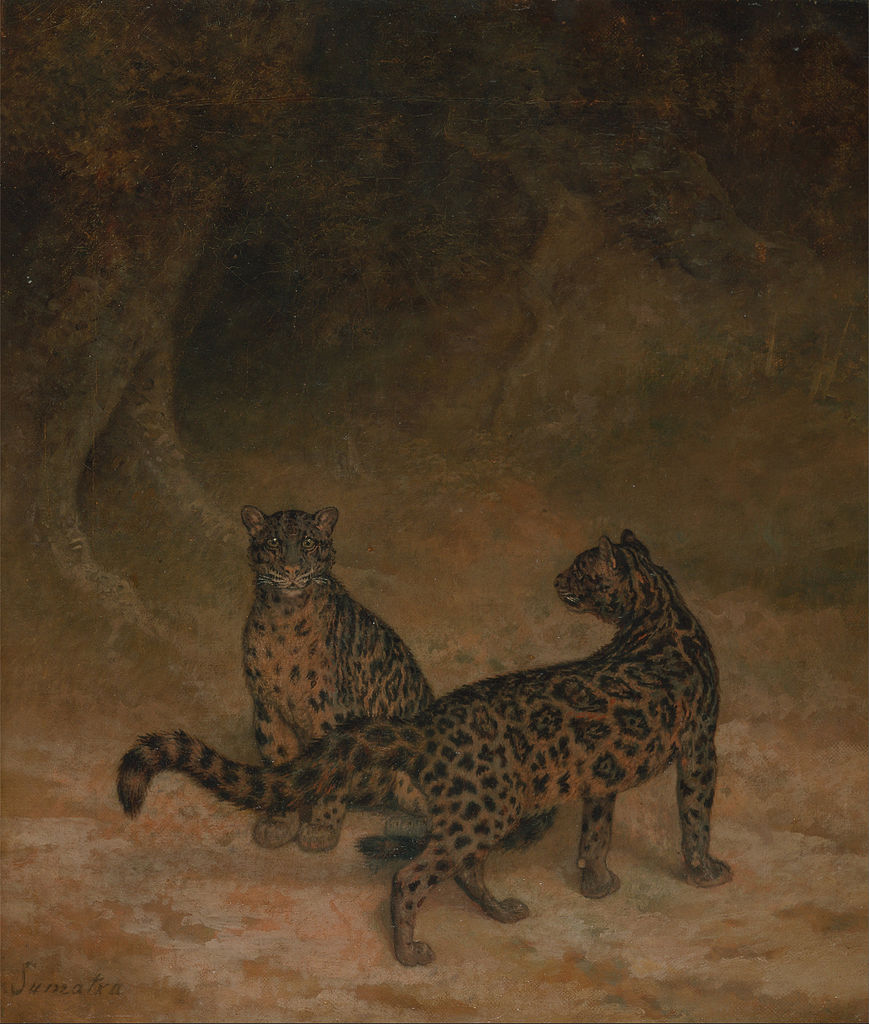 Clouded Leopards, vintage artwork by Jacques-Laurent Agasse, 12x8" (A4) Poster