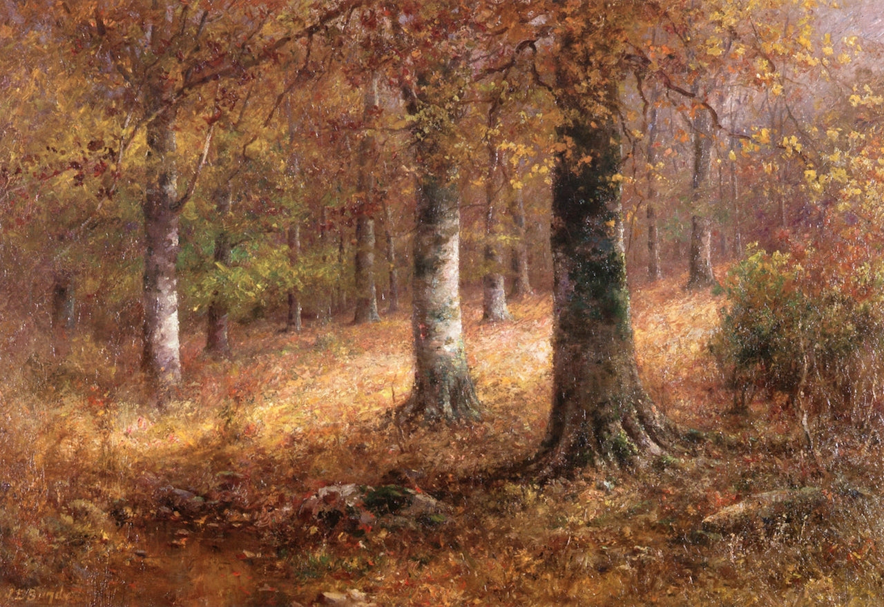 Beech Woods in Autumn by John Elwood Bundy,A3(16x12")Poster