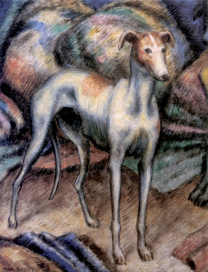 Greyhound, vintage artwork by Middleton Manigault, 12x8