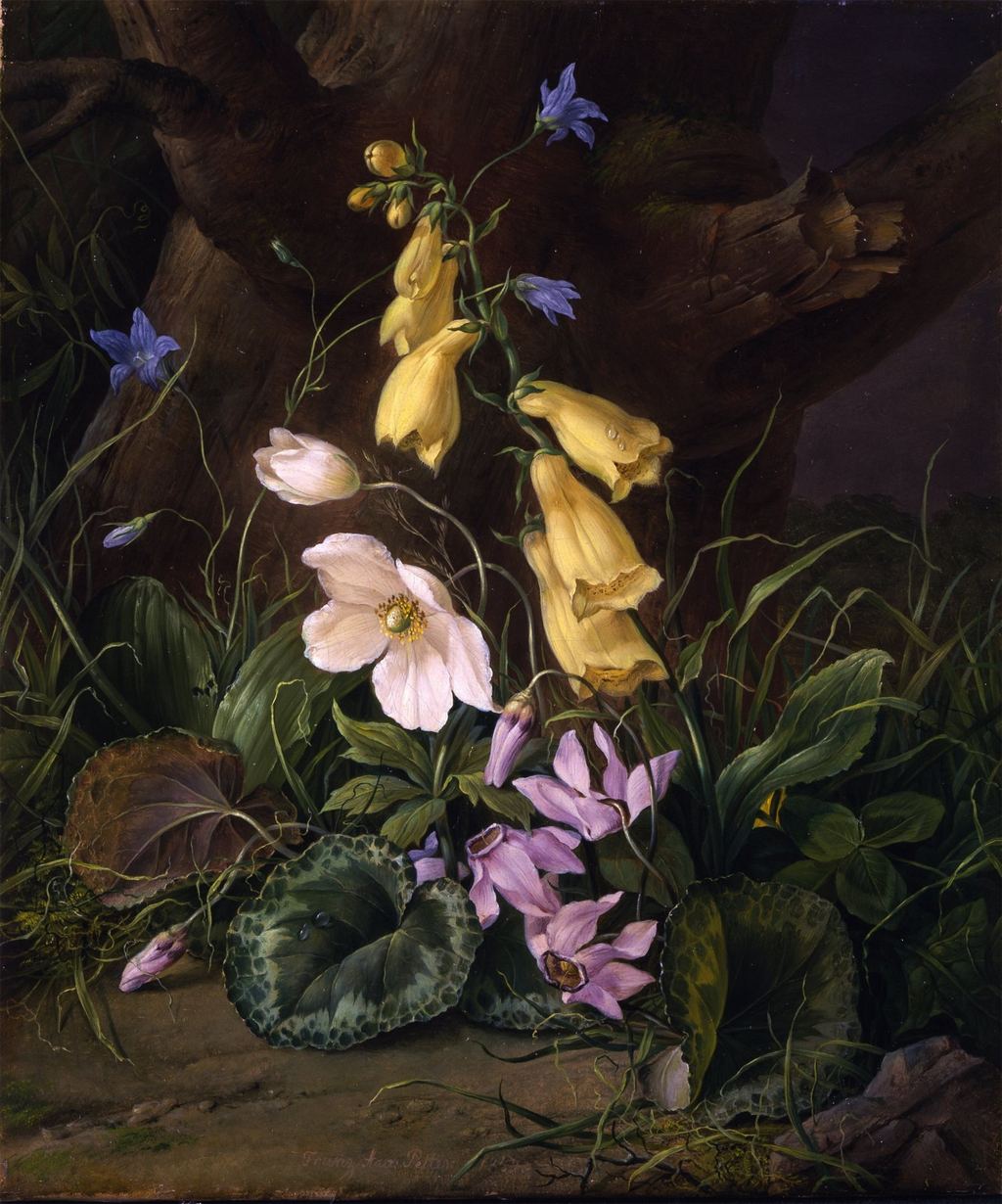 Wildflowers at the Base of a Tree, vintage artwork by Franz Xavier Petter, A3 (16x12") Poster Print