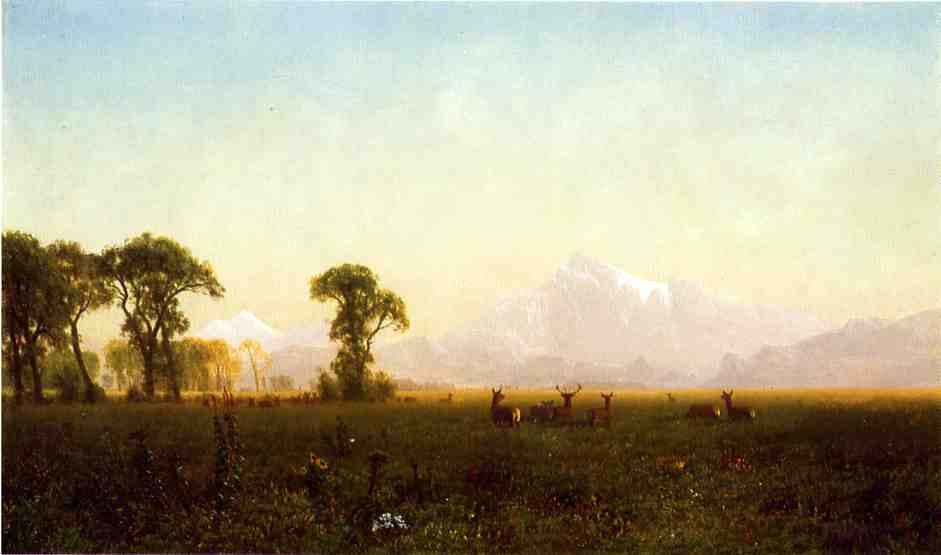 Deer Grazing, Grand Tetons, Wyoming, vintage artwork by Albert Bierstadt, 12x8" (A4) Poster