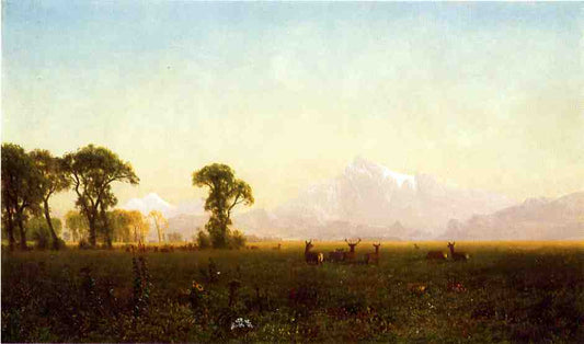 Deer Grazing, Grand Tetons, Wyoming, vintage artwork by Albert Bierstadt, 12x8" (A4) Poster