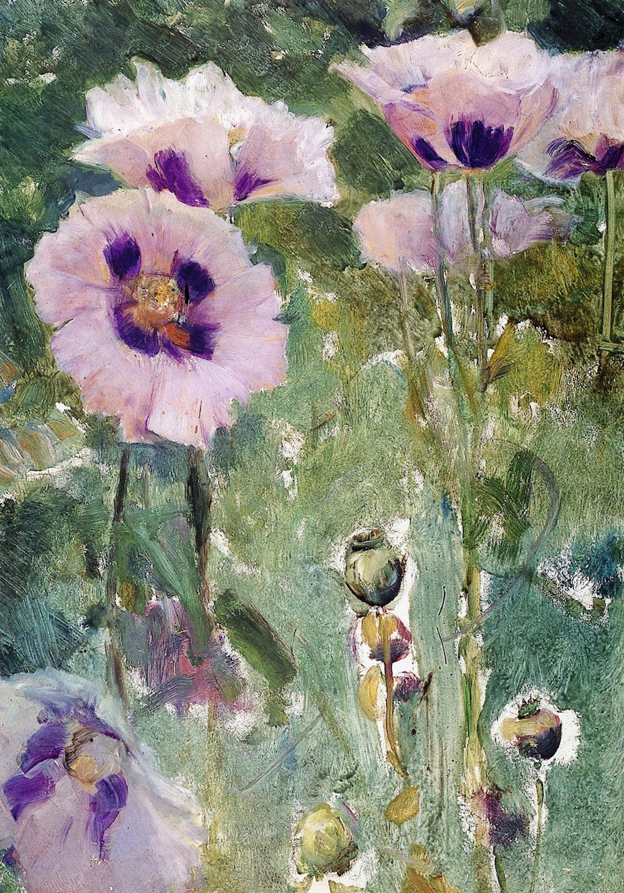 Poppies, Pavillon Colombe, vintage artwork by Walter Gay, 12x8" (A4) Poster