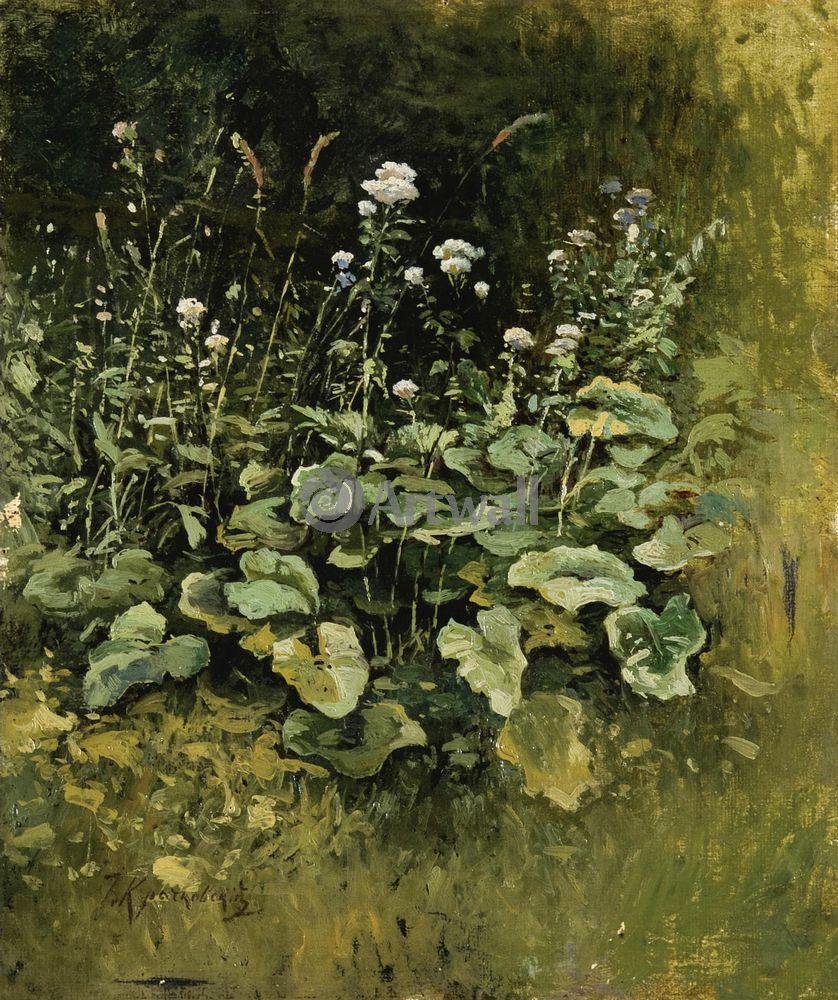 Wild Grass, vintage artwork by Iosif Krachkovsky, 12x8" (A4) Poster