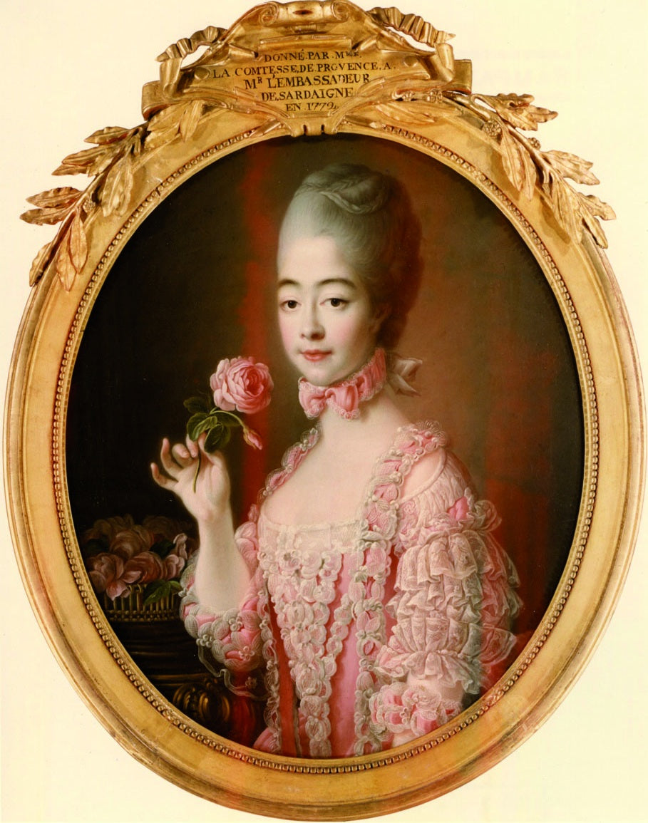 Portrait of Madame de Provence, vintage artwork by François-Hubert Drouais, 12x8" (A4) Poster