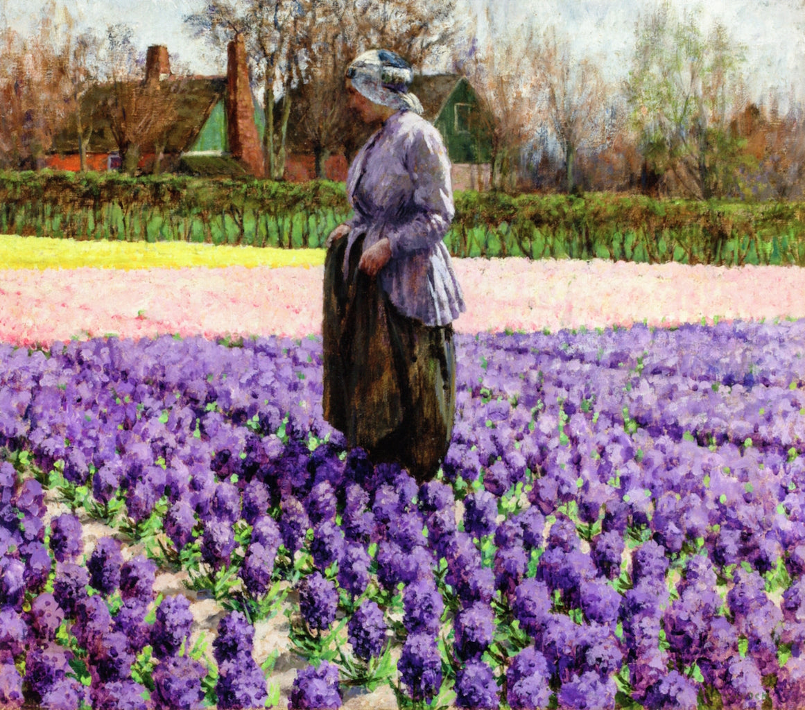 A Field of Hyacinths, Holland, vintage artwork by George Hitchcock, 12x8" (A4) Poster