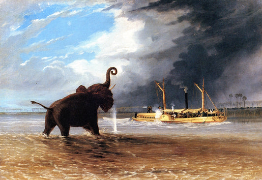 Elephant in the Shallows of the Shire River, the Steam Launch Firing, vintage artwork by Thomas Baines, A3 (16x12") Poster Print