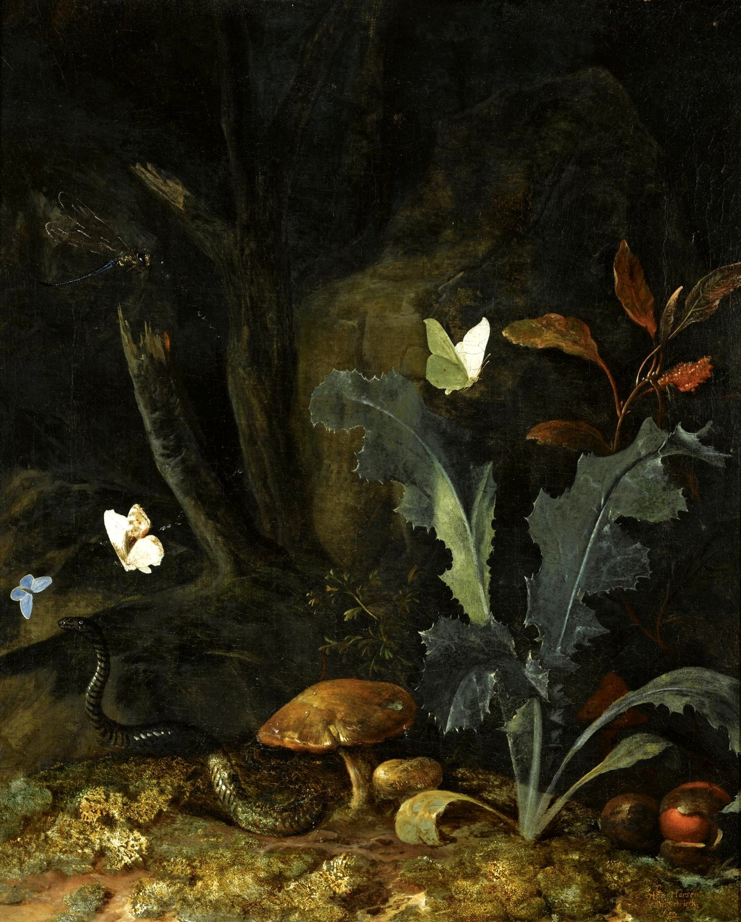 Nocturnal Forest Landscape with a Thistle, Chestnuts and Mushrooms, vintage artwork by Otto van Schrieck, 12x8" (A4) Poster