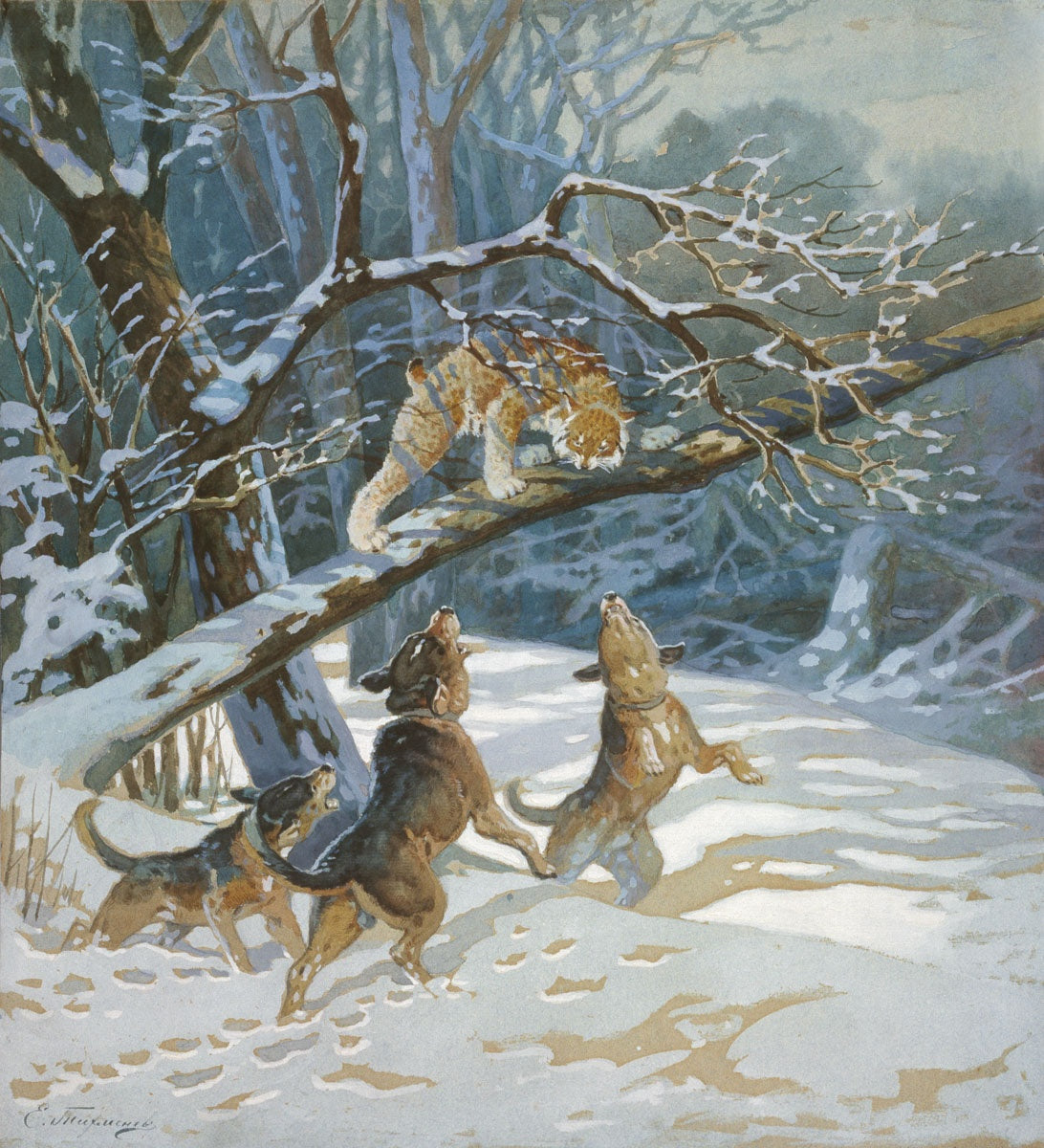 Lynx Hunt by Yevgeny Tikhmenev,A3(16x12")Poster