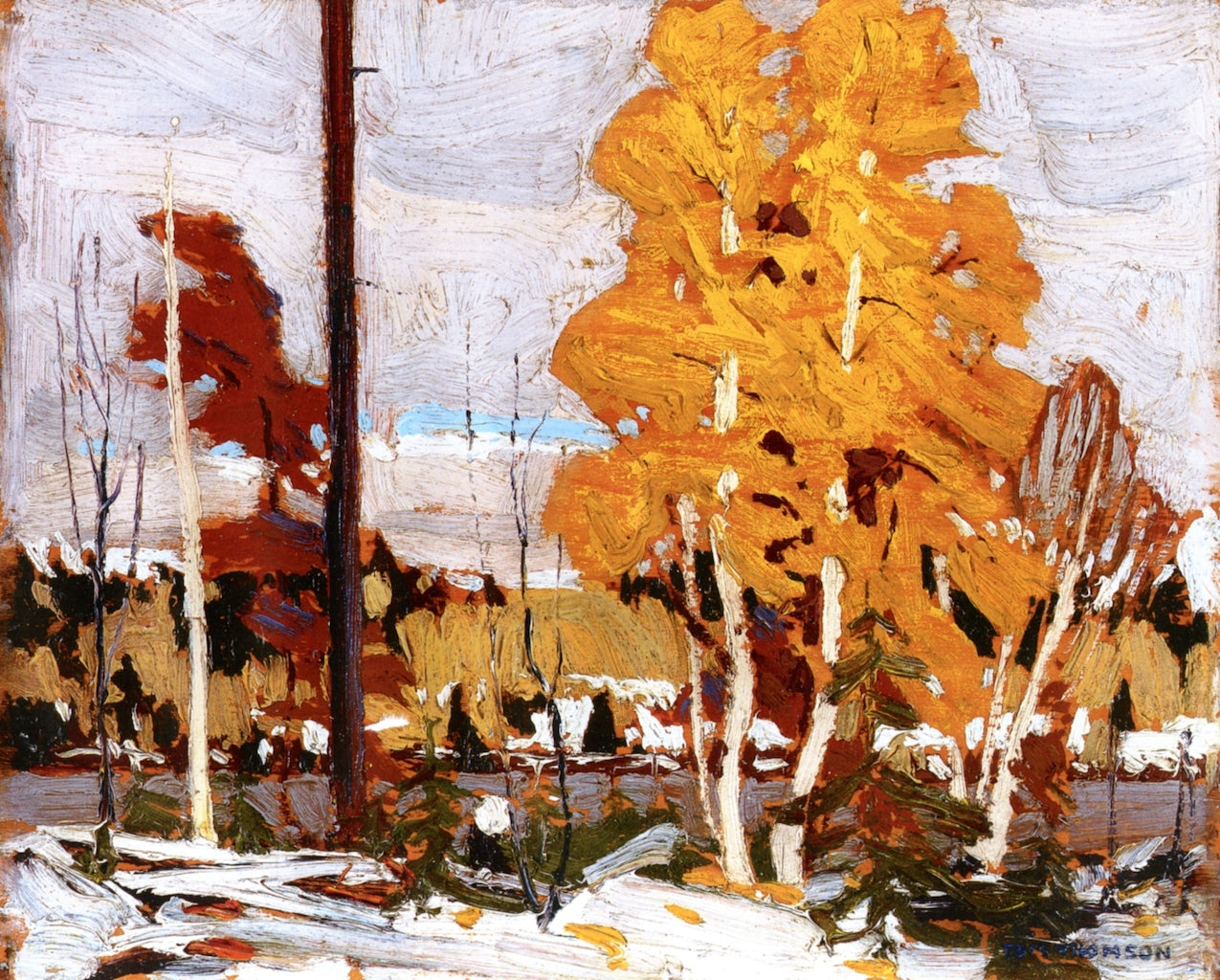 Near Grand Lake, Algonquin Park by Tom Thomson,16x12(A3) Poster