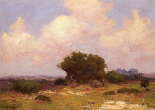 The Boerne Hills, S. W. Texas by Julian Onderdonk,16x12(A3) Poster