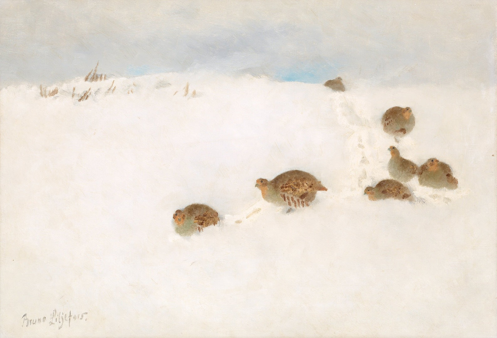 Partridges in the Snow, vintage artwork by Bruno Liljefors, 12x8" (A4) Poster