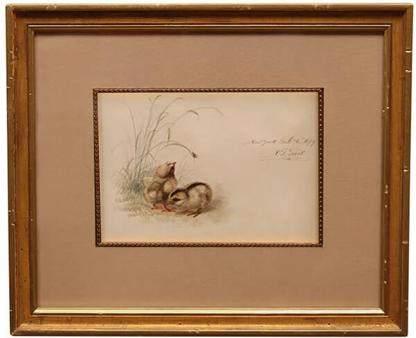 Two Baby  Chicks, vintage artwork by Arthur Fitzwilliam Tait, A3 (16x12