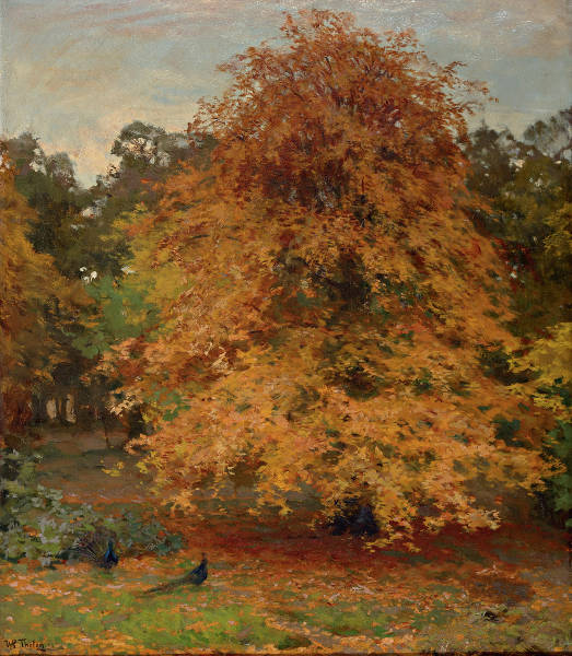 Peacocks in an autumn forest, vintage artwork by Willem Bastiaan Tholen, 12x8" (A4) Poster