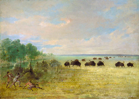 Catlin and Party Stalking Buffalo in Texas, vintage artwork by George Catlin, A3 (16x12") Poster Print