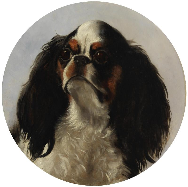Head of a King Charles Spaniel, vintage artwork by George Earle, 12x8" (A4) Poster