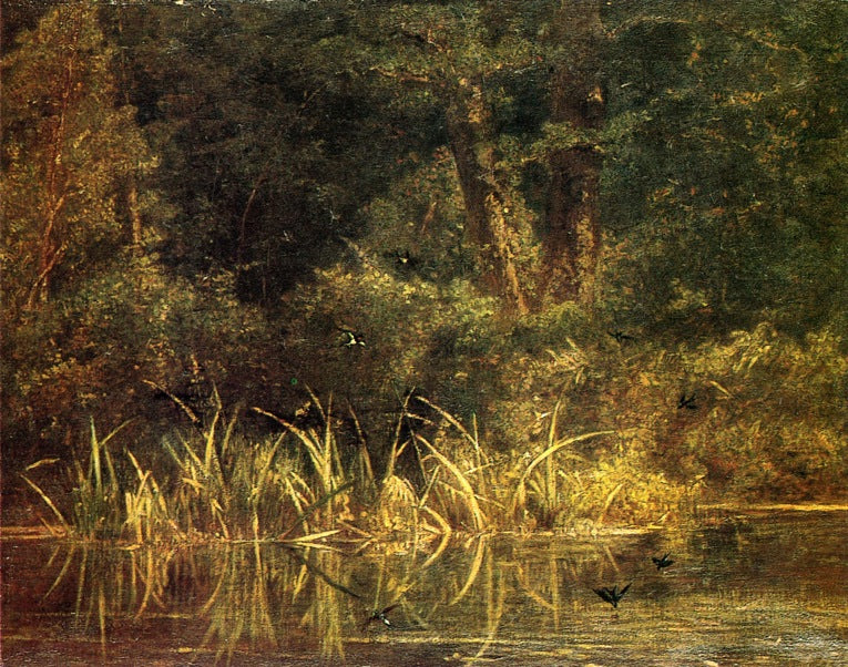 River Scene with Barn Swallows, vintage artwork by Karl Bodmer, A3 (16x12") Poster Print