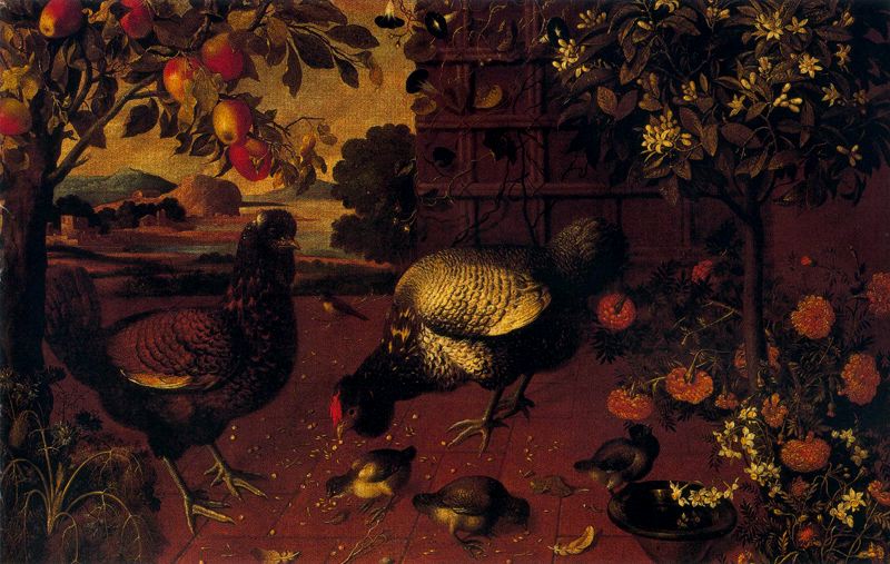 Gallo y polluelos sobre una terraza, vintage artwork by Tomàs Yepes, 12x8" (A4) Poster