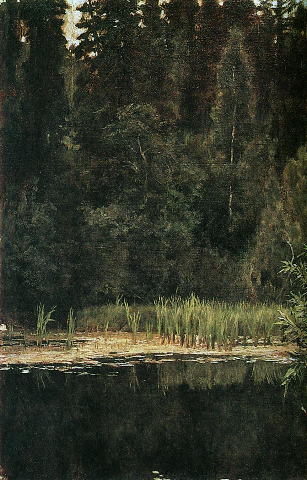 Pond in Akhtyrka (study), vintage artwork by Viktor Mikhaylovich Vasnetsov, 12x8" (A4) Poster