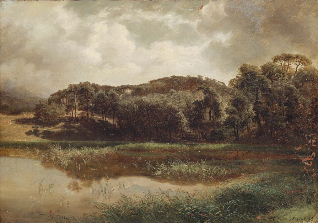 Lake at the Edge of a Forest, vintage artwork by Alexandre Calame, A3 (16x12") Poster Print