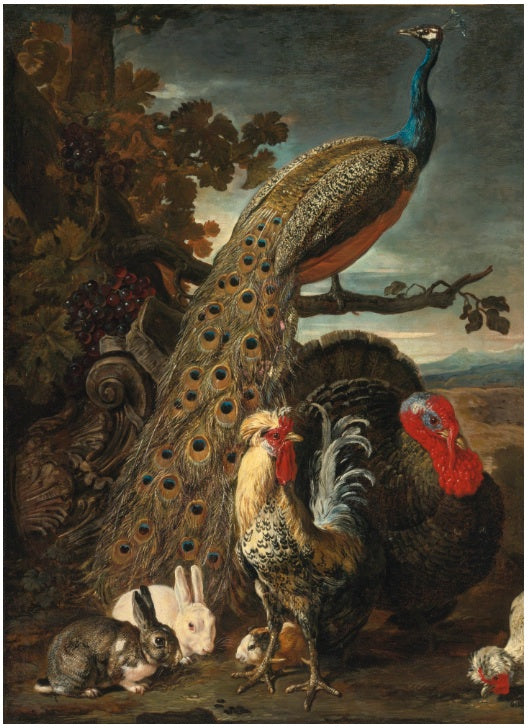 A peacock, turkey, rabbits, and cockerel in a landscape, vintage artwork by David de Coninck, 12x8" (A4) Poster