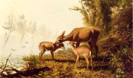 Deer in the Woods, vintage artwork by Arthur Fitzwilliam Tait, A3 (16x12") Poster Print