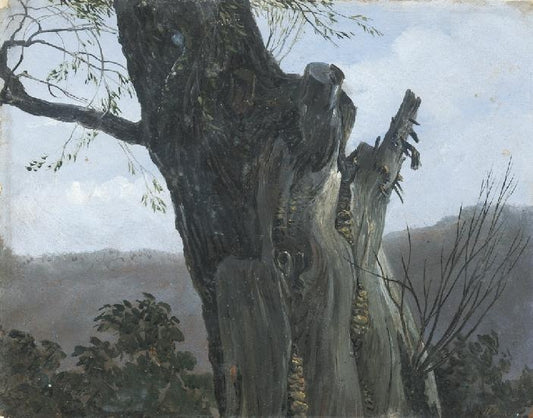 Study of a Tree Trunk, vintage artwork by Carl Gustav Carus, A3 (16x12") Poster Print