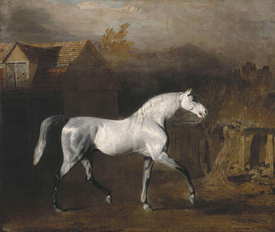 Lop, vintage artwork by Benjamin Marshall, 12x8" (A4) Poster