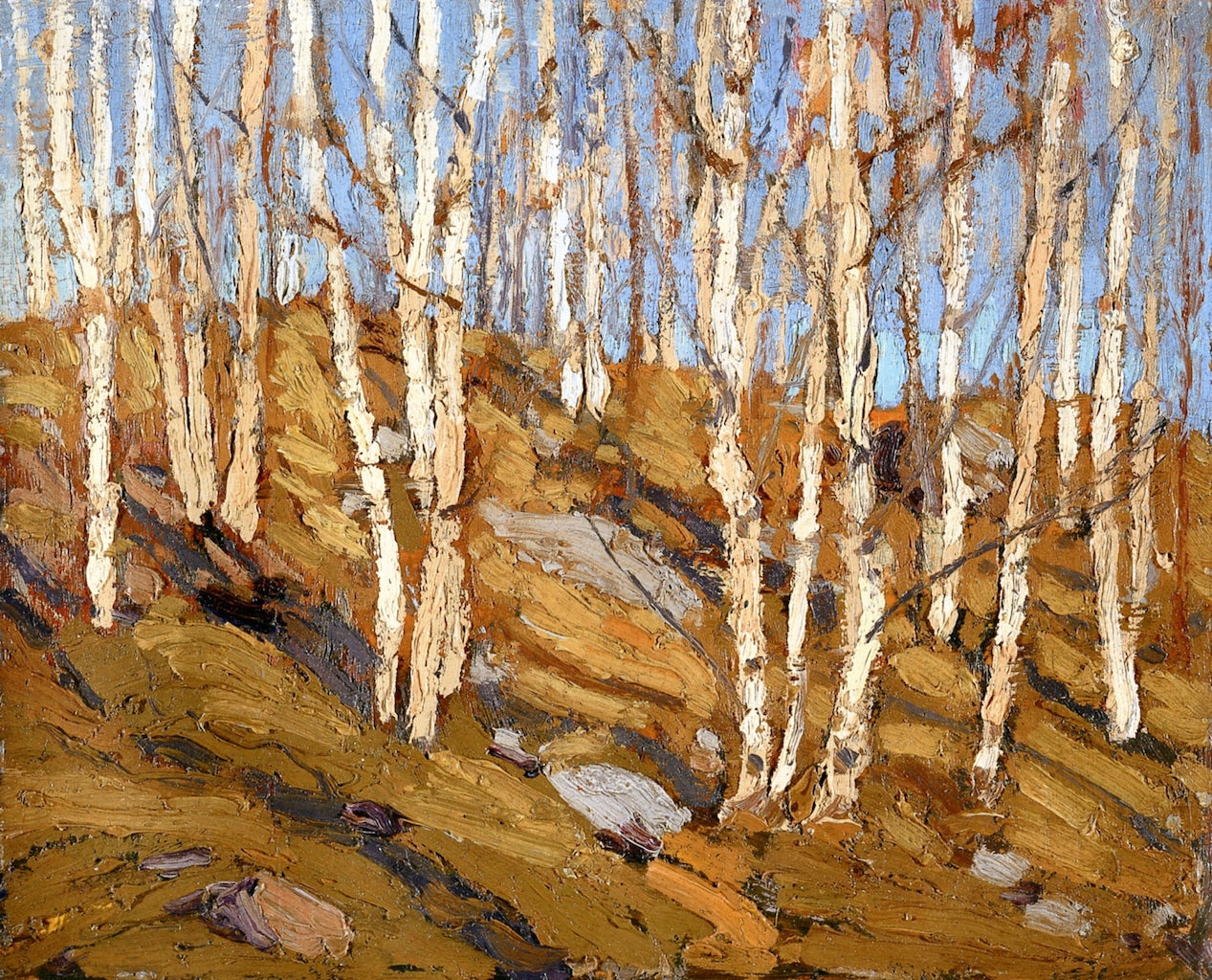 Northern Spring by Tom Thomson,16x12(A3) Poster