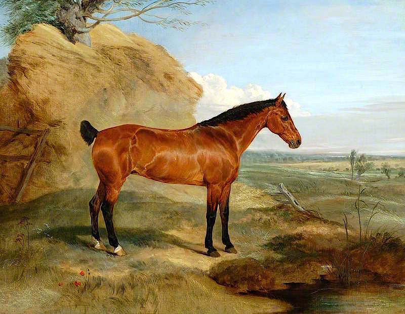 Lord Henniker's Bay Mare, Brunette, vintage artwork by Sir Edwin Landseer, A3 (16x12") Poster Print