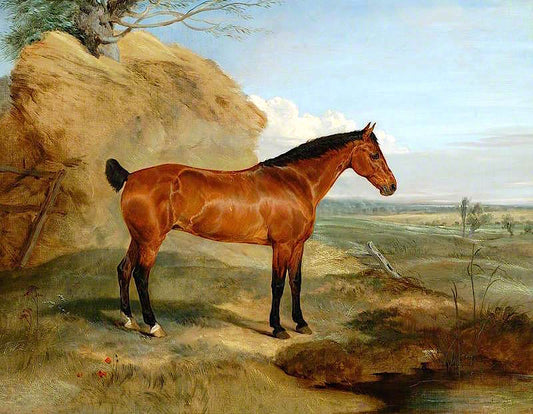Lord Henniker's Bay Mare, Brunette, vintage artwork by Sir Edwin Landseer, A3 (16x12") Poster Print