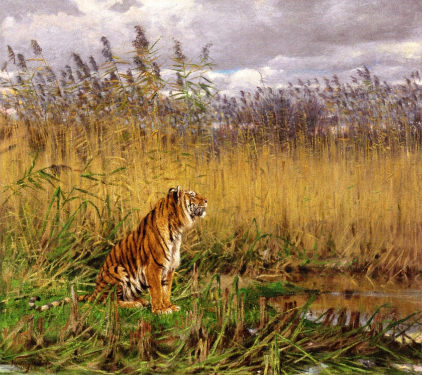 A Tiger in a Landscape, vintage artwork by Geza Vastagh, 12x8" (A4) Poster