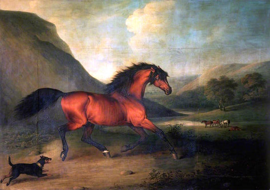 The English Blood-Horse 'Fidget', vintage artwork by Henry Bernard Chalon, 12x8" (A4) Poster