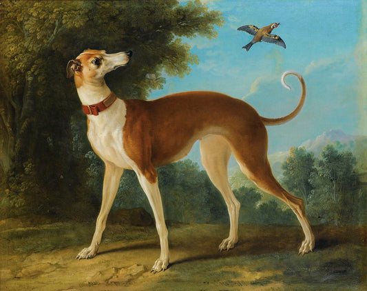 Greyhound in a landscape, vintage artwork by Jean-Baptiste Oudry, 12x8" (A4) Poster