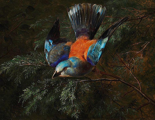 A jay in a spruce, vintage artwork by Johan Laurentz (J.L.) Jensen, A3 (16x12") Poster Print