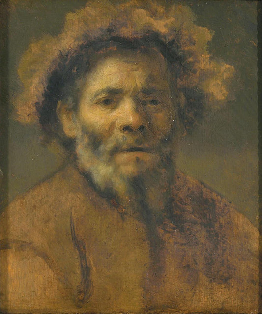 Study of an old man, vintage artwork by Carel Fabritius, 12x8" (A4) Poster