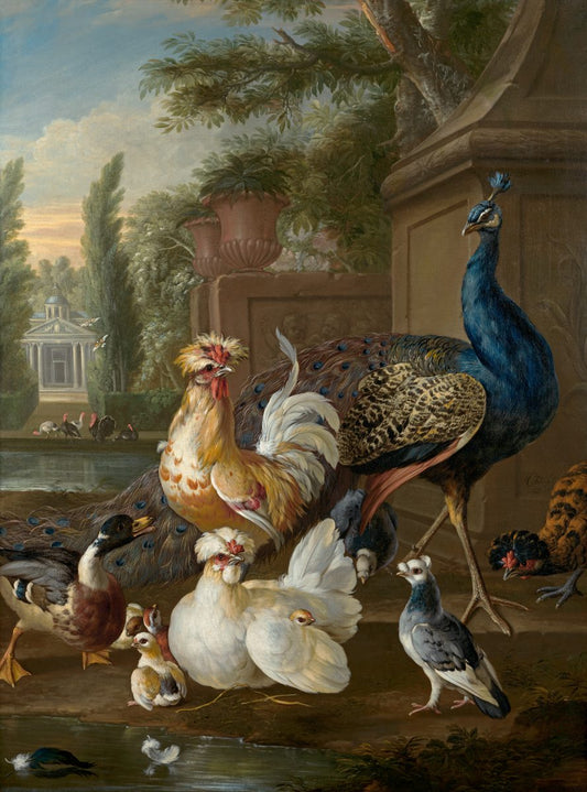 A Peacock, a Polish Cockerel and Hens, a Pigeon and a Mallard in the Gardens of an Italianate Villa, vintage artwork by Pieter Casteels, 12x8" (A4) Poster