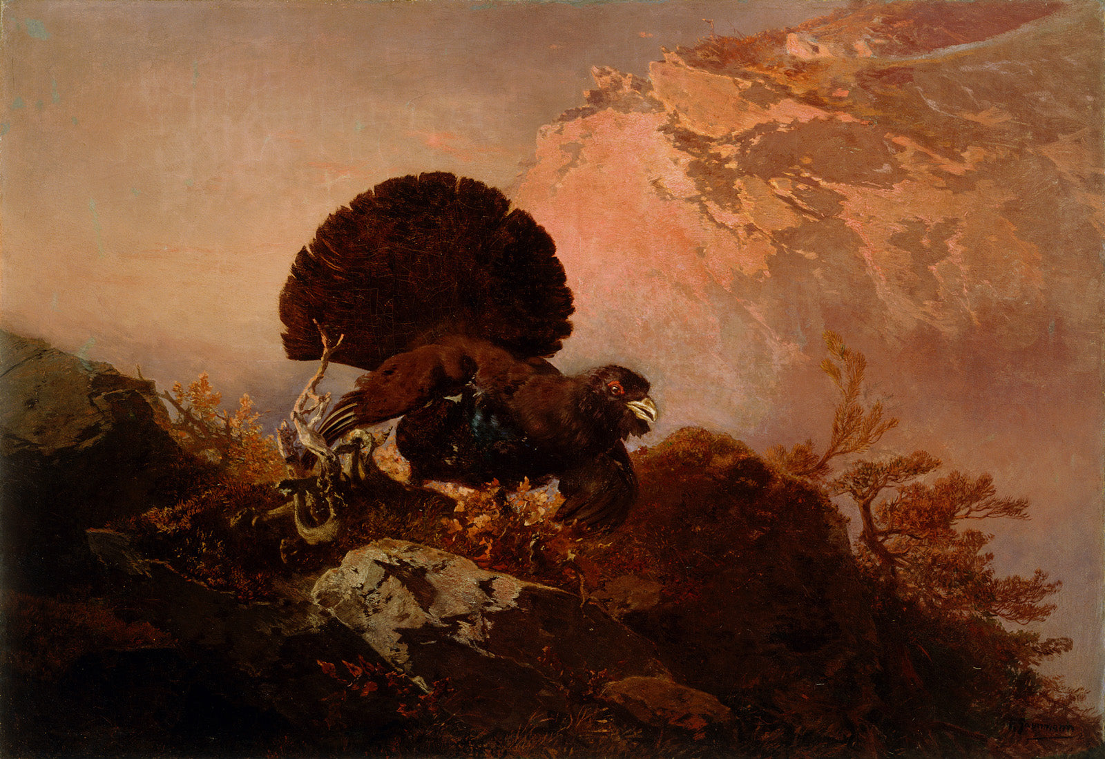 The Grouse, vintage artwork by Friedrich Gauermann, A3 (16x12") Poster Print