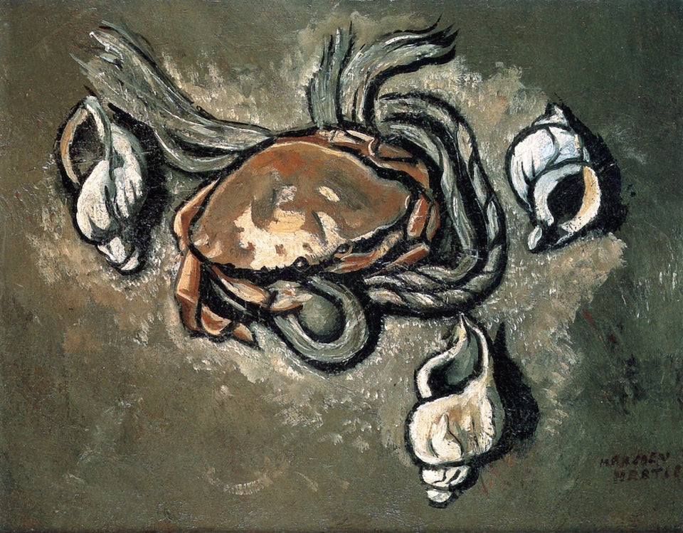 Crab, Rope, Seashells, vintage artwork by Marsden Hartley, 12x8" (A4) Poster