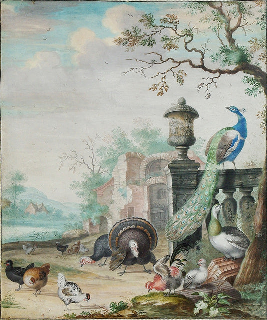 A Peacock, A Parrot and other Exotic Birdes in a Park Landscape, vintage artwork by Herman Henstenburgh, 12x8" (A4) Poster