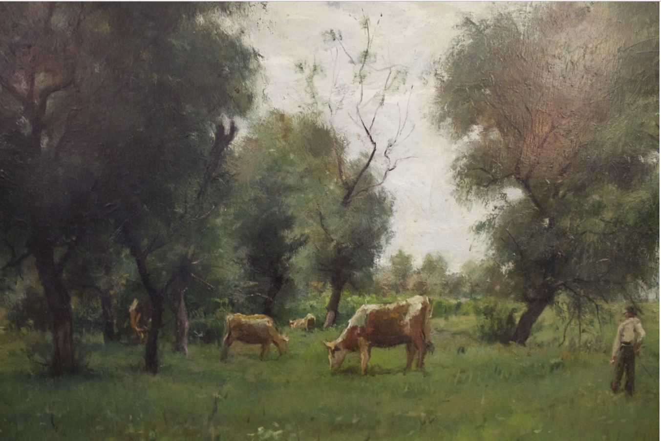 Cattle Grazing in a Spring Field by Janos Laszlo Aldor,16x12(A3) Poster